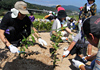100年の森 植樹祭