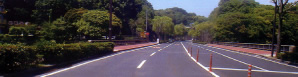 舗装工事