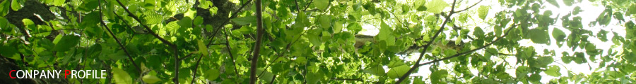 雲仙・普賢の森 植林活動