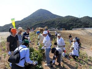 植林作業