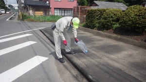 道路清掃　松浦市周辺（2021年6月19日）