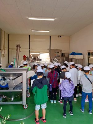 相浦西小学校 オリーブ農園見学（2021年11月2日）